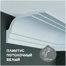 Карниз с гладким профилем Fabello Decor P 880,плинтус потолочный белый грунтованный, 120*170*2000 мм